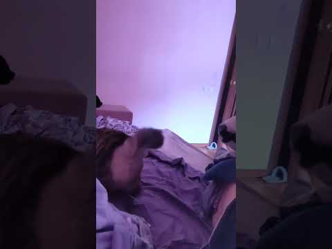У Буси новый