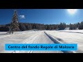 Centro del fondo regole di Malosco