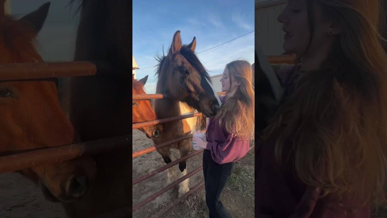 Feeding all my neighbors FARM ANIMALS! 🐴☺️🤎