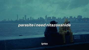 mehro - parasite (lyrics)