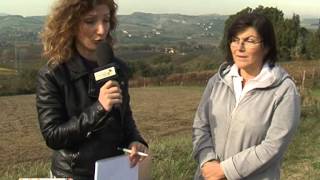 Emilia - Romagna Agricoltura, p. 8, Approfondimento: cambiamenti climatici e agricoltura