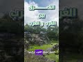 الفرق بين الغرب والعرب مجرد نقطة نقطة على العين