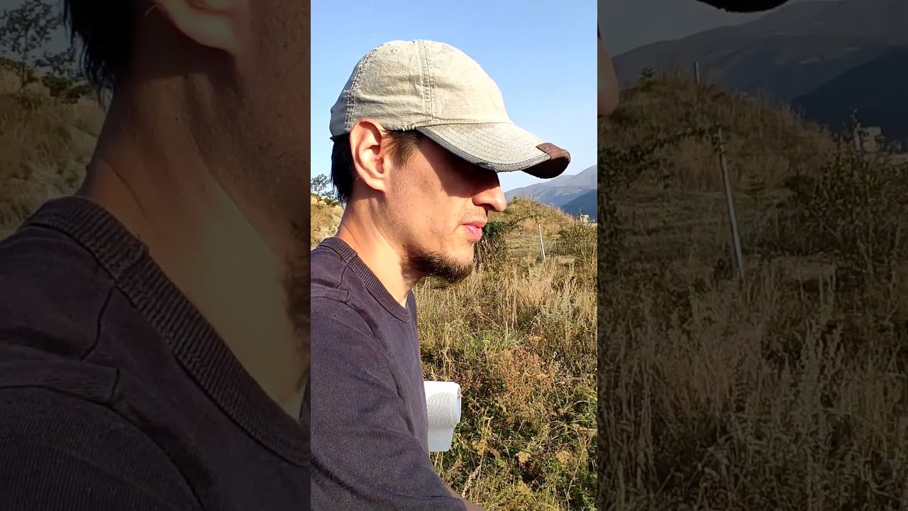 A plein air box with alterable easel and a built-in wet panel carrier. Pochade boxes for traveling