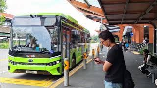 SG3141U Sv 117. Depart Opp Yishun MRT Stn. BYD BC12A04 SD (3-Door) Electric Bus. SG❤️BUS. 12/09/25.