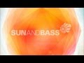 Makoto @ Sun and Bass 2014
