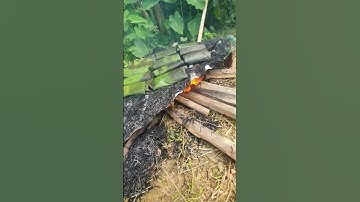 Cá nướng lá chuối!!!