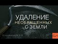 Откровение 14:14-20. Удаление необращенных с земли | Андрей Вовк | Слово Истины