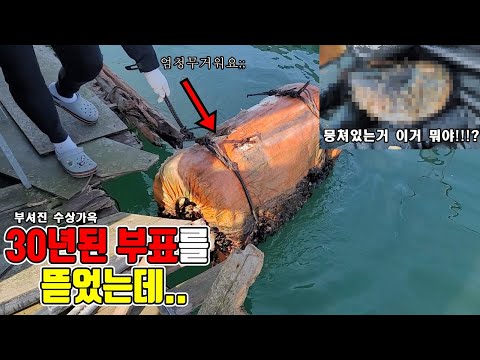 <strong>신기함주의</strong> 3탄) 30년된 버려진 바다부표 안에는 어떤 생물들이 있을까??