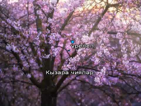 Чиялэр караоке с голосом