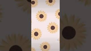 Wallpapers theme : sunflowers 🌻 #shorts #love #sky #disney #sunset #sunflower