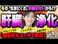 脂肪肝を脱却して10kgやせ!生きやすくなる「肝臓浄化」|LDL・高血圧・γ-GTP・メタボ・便秘・イライラ・ダイエット