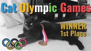 Cat Olympic Games | Lola the Cat