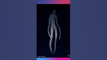 Alien Caught on Camera +18 👽🤯😲 #short #aliens #guessing