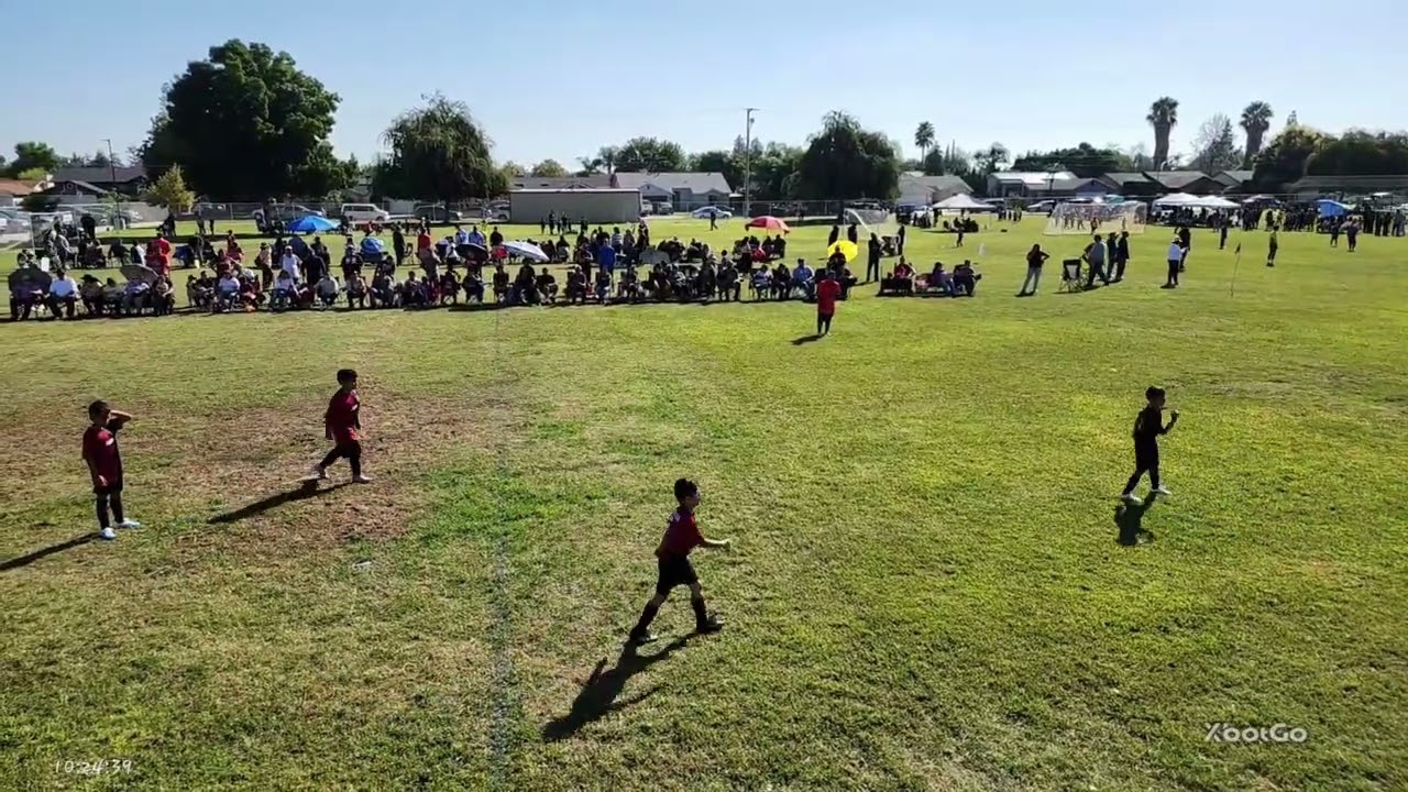 Selma Youth Soccer League u8 Roosters vs Bear Cubs 10/04/2025