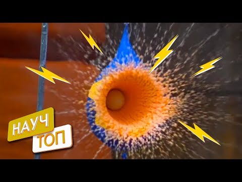 НАУЧТОП. Необычные жидкости | Дайджест самых ярких видео