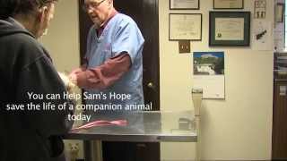 Sams Hope Psa, 30 Second Spot - 2015