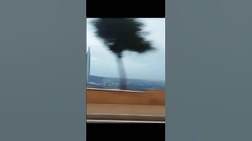 #القرآن_الكريم #سورة النمل#المغرب