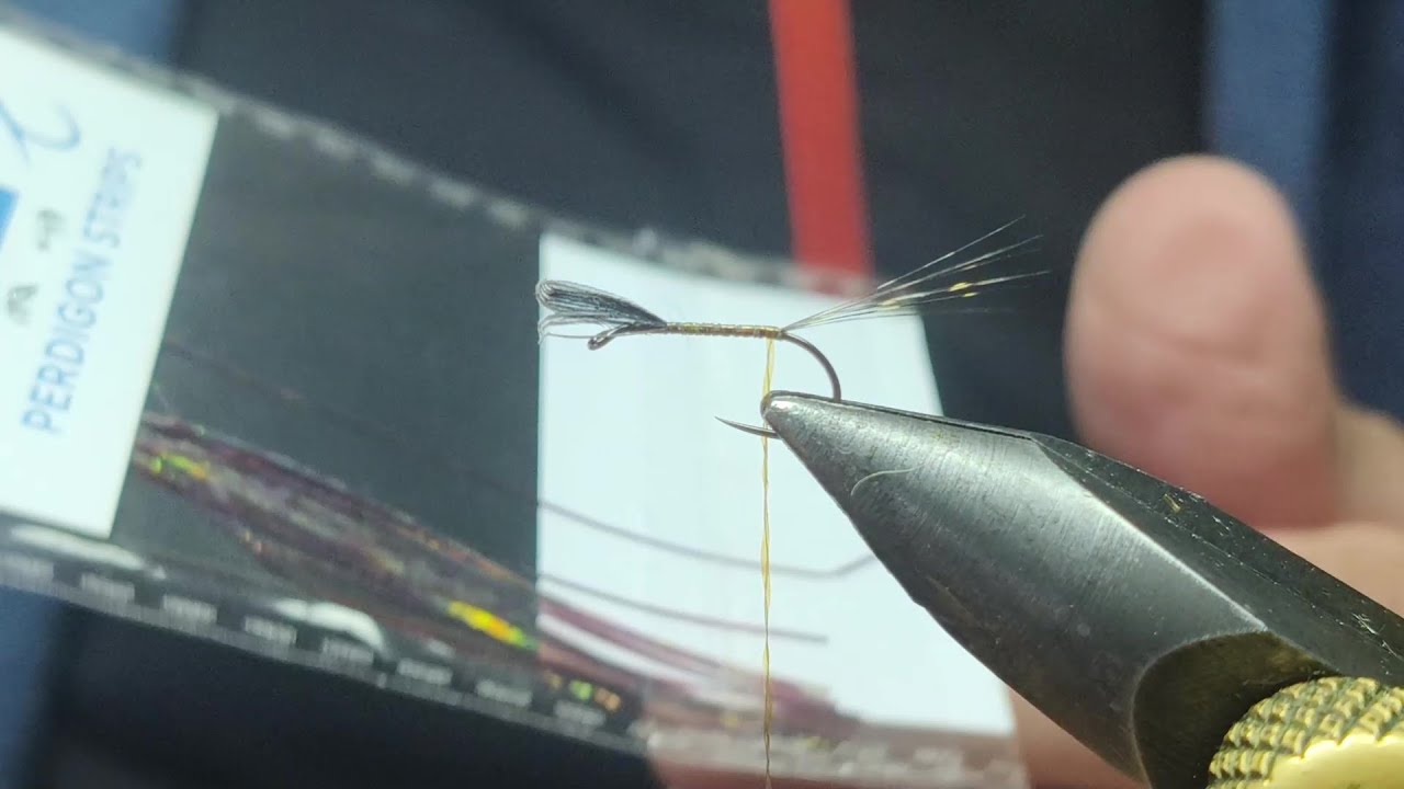 Ecdyonuridos Venosus sub 15 Flashback