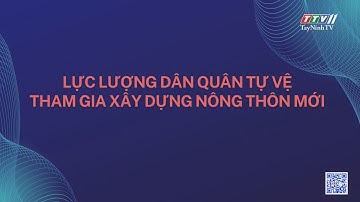 Lực lượng Dân quân tự vệ tham gia xây dựng nông thôn mới | TayNinhTV