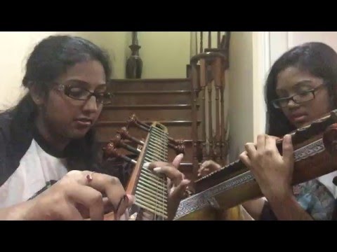 Mundhinam Parthene- Vaaranam Aayiram (Veena Cover)