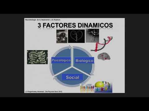 Vídeo: 10 Maneras De (algo) Entender Cómo Se Siente Tener Fibromialgi