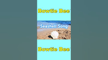 Learn to Count to 10 Little Shiny Seashells Educational Videos Kids Toddler Videos #nurseryrhymes