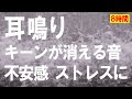 【耳鳴り治療音】キーンという高音の耳鳴りが軽減する滝の音8時間 自然音 睡眠 音響療法