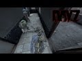 Dayz  the incident