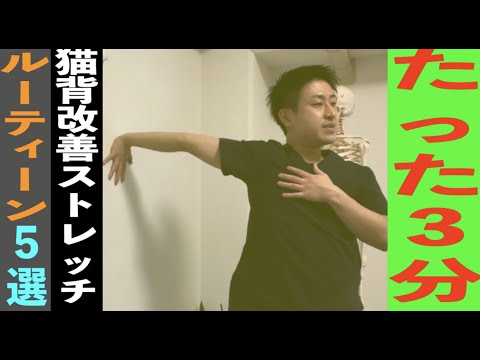 【簡単3分】猫背改善ストレッチ5選