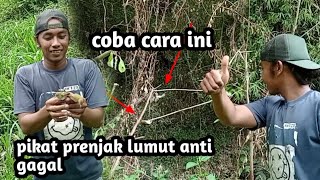 hanya dewa bolang punya trik ini pikat burung prenjak lumut