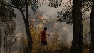 D'importants feux de forêt près d'Athènes, des habitants et touristes évacués • FRANCE 24