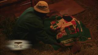 Night Time At The David Sheldrick Wildlife Trust In Nairobi