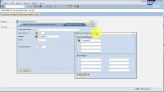 6. CURSO BASICO DE SAP  Demo Ayuda en SAP