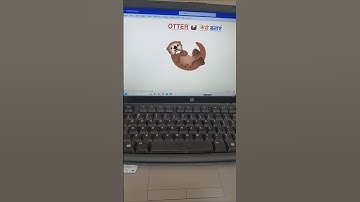 Otter 🦦 MsWord Shortcut Tricks #shorts #msword #tricks #education #computertips #windows#asmr #pc