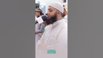 سورة الكافرون بقراءة الإمام الكسائي || القارئ شريف السيود ❤️