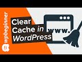 How to Clear Your Cache in WordPress