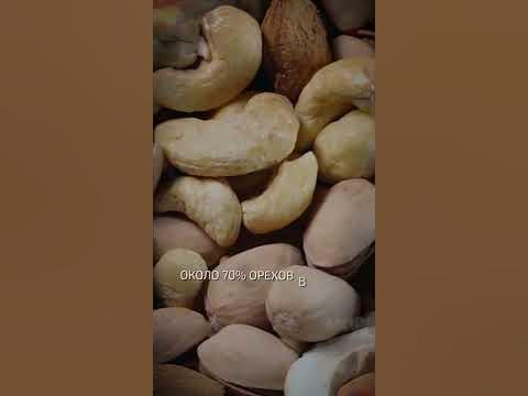 Турция - ореховая страна - интересные факты о Турции - YouTube