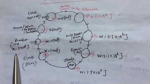 Cyclic and Isolated Process: How Our Body Uses Thermodynamics