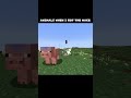 Pig: That's all... #minecraft #minecraftshorts #memes #mcyt #pig #mace #minecraftmace #danganronpa