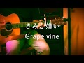 &quot;きみが嫌い&quot;  by Grapevine (cover)