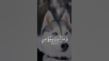 #سورة_يوسف #اسلام_صبحي __🌿🌿🌿