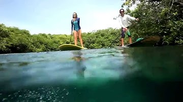 Field Notes: Free Diving in Casa Cenote, Tulum, Mexico