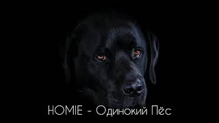 HOMIE - Одинокий пёс 2020 (Lyrics)