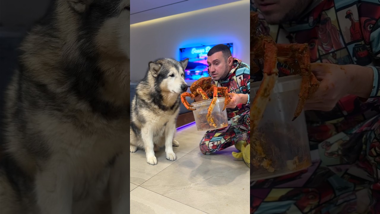 Він Вже Зварений Синок 😅