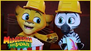 Un viaje al cine | DreamWorks Madagascar en Español Latino