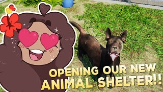 Our ANIMAL RESCUE SHELTER is OPEN!! 🐶🩹 Animal Shelter Simulator • #1