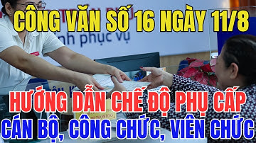 Công Văn Số 16: Chế Độ Phụ Cấp Lương 2025: Cán Bộ, Công Chức, Viên Chức Cần Biết?