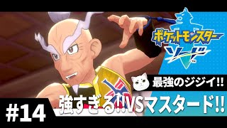 初めてのポケモン剣盾　Part.14