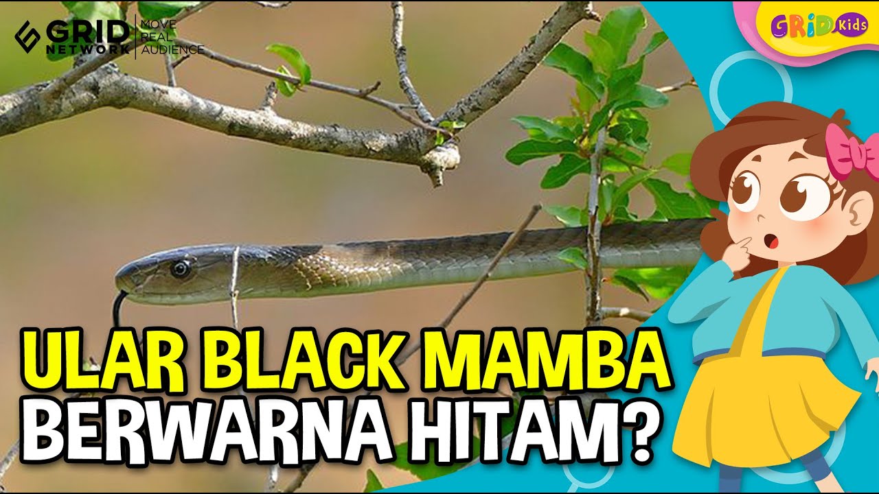 Harbiy royxatga olish va royxatga olish komissiyasi porno