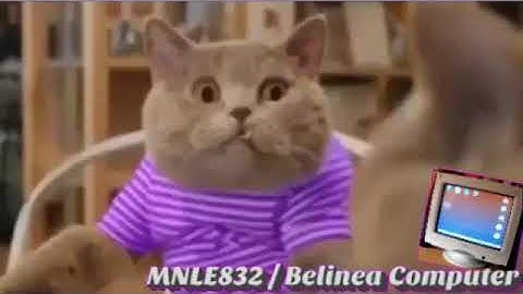 Round 36 vs AE Doodle Dash The Object Thingy 6th Match